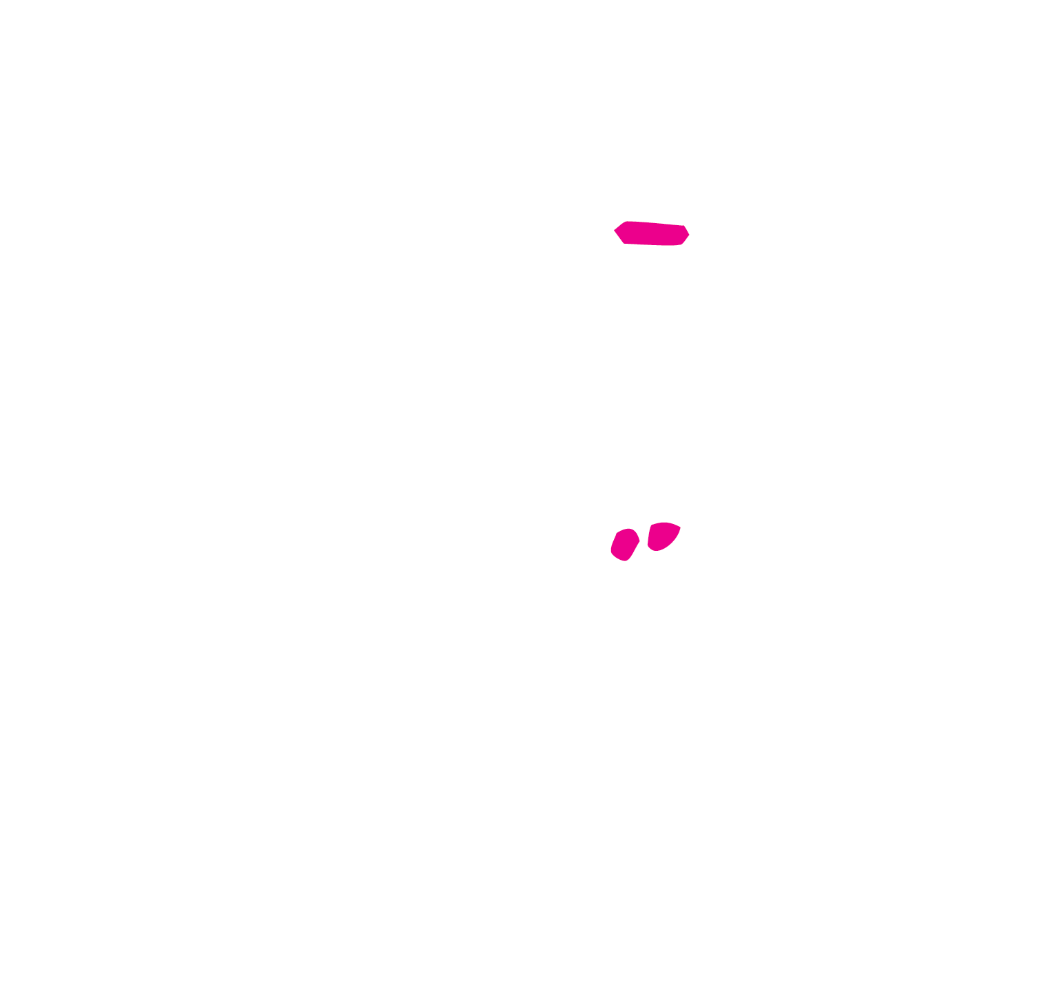 Tornado Tornado Logo